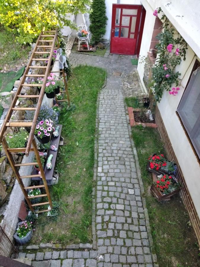 Salas-Dum Pro Spolecnou Dovolenou Az 11 Osob Экстерьер фото